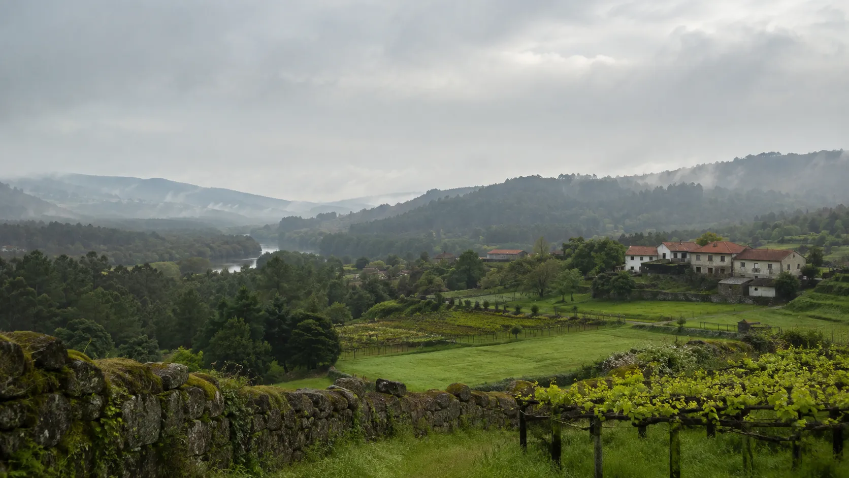 Paisagem rural minhota, com campos, vinhas, casas de granito e o vale do rio Lima